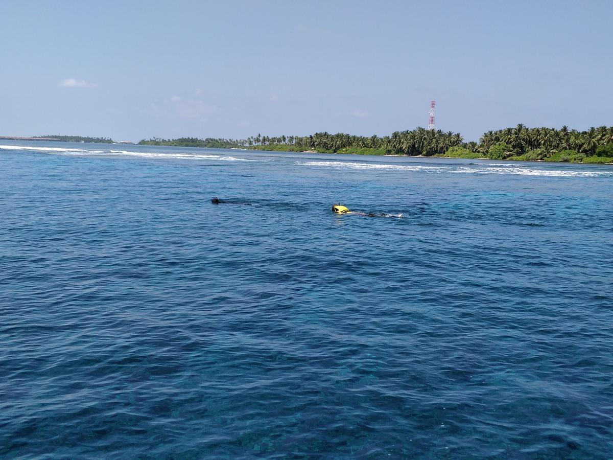 Готель Island Guest Maamendhoo Екстер'єр фото